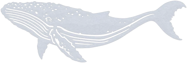 A laser-cut aluminum wall art piece depicting a humpback whale, featuring detailed cutouts of its textured skin. The elegant silhouette emphasizes the whale's majestic form against a plain white background.
